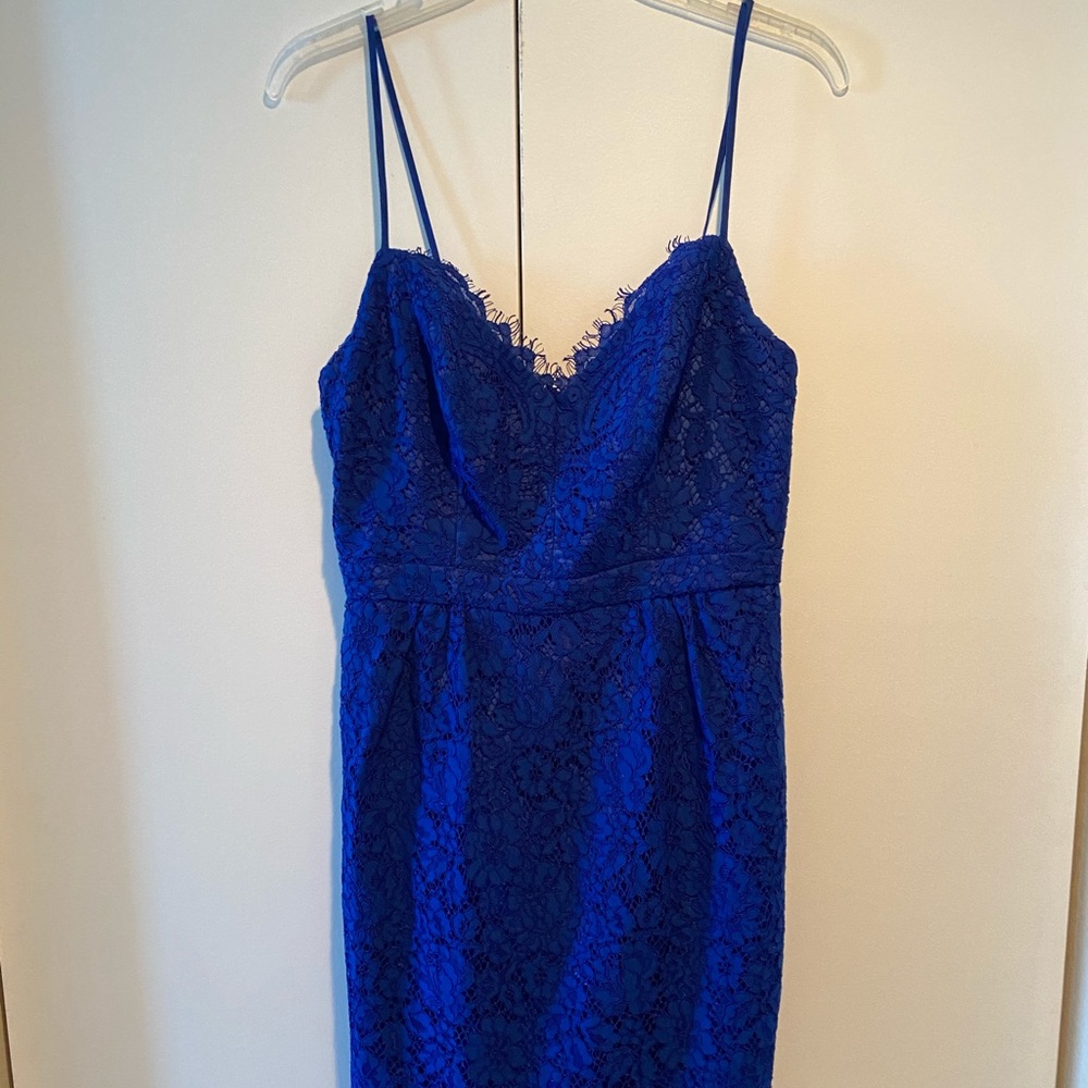 Knee Length J Crew Spaghetti Strap Lace Dress